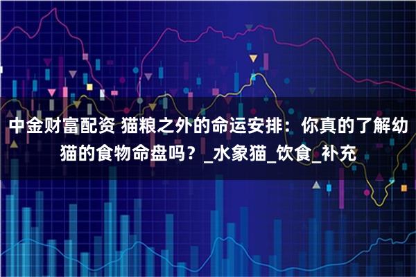 中金财富配资 猫粮之外的命运安排：你真的了解幼猫的食物命盘吗？_水象猫_饮食_补充